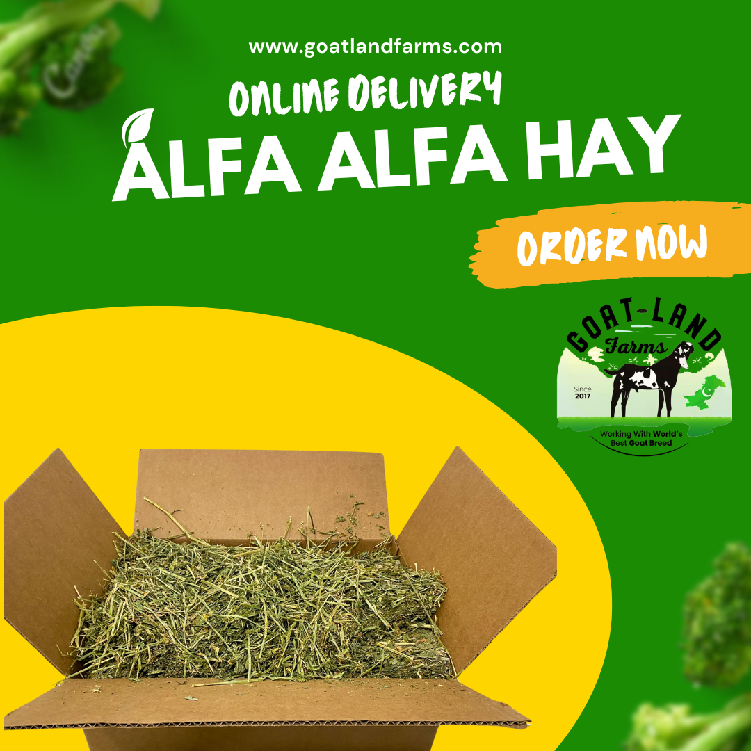 Dry Lossan(Pure) (Per Kg)