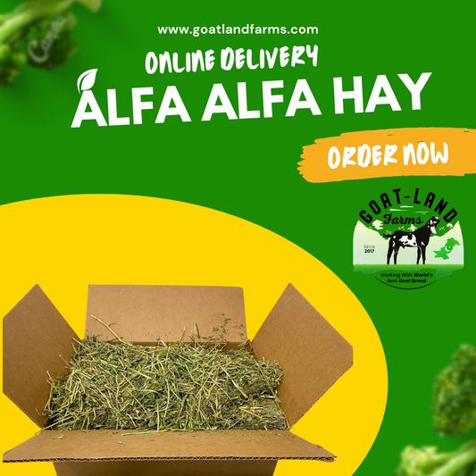 Dry Lossan(Pure) (Per Kg)