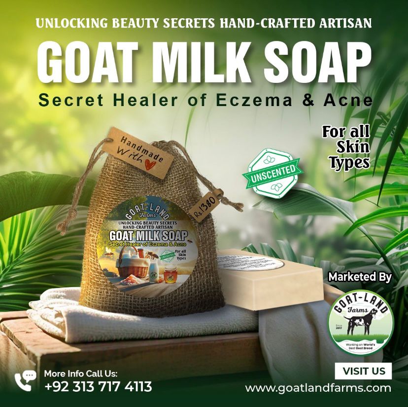Goat Milk Soap