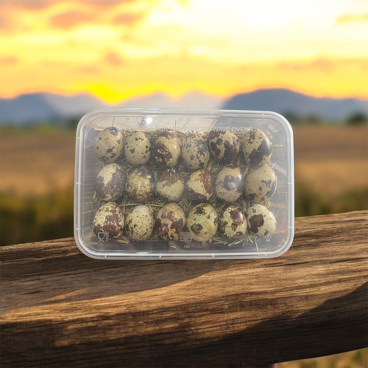 Quail Eggs 18 Pcs