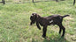 Male Tag ID1796298