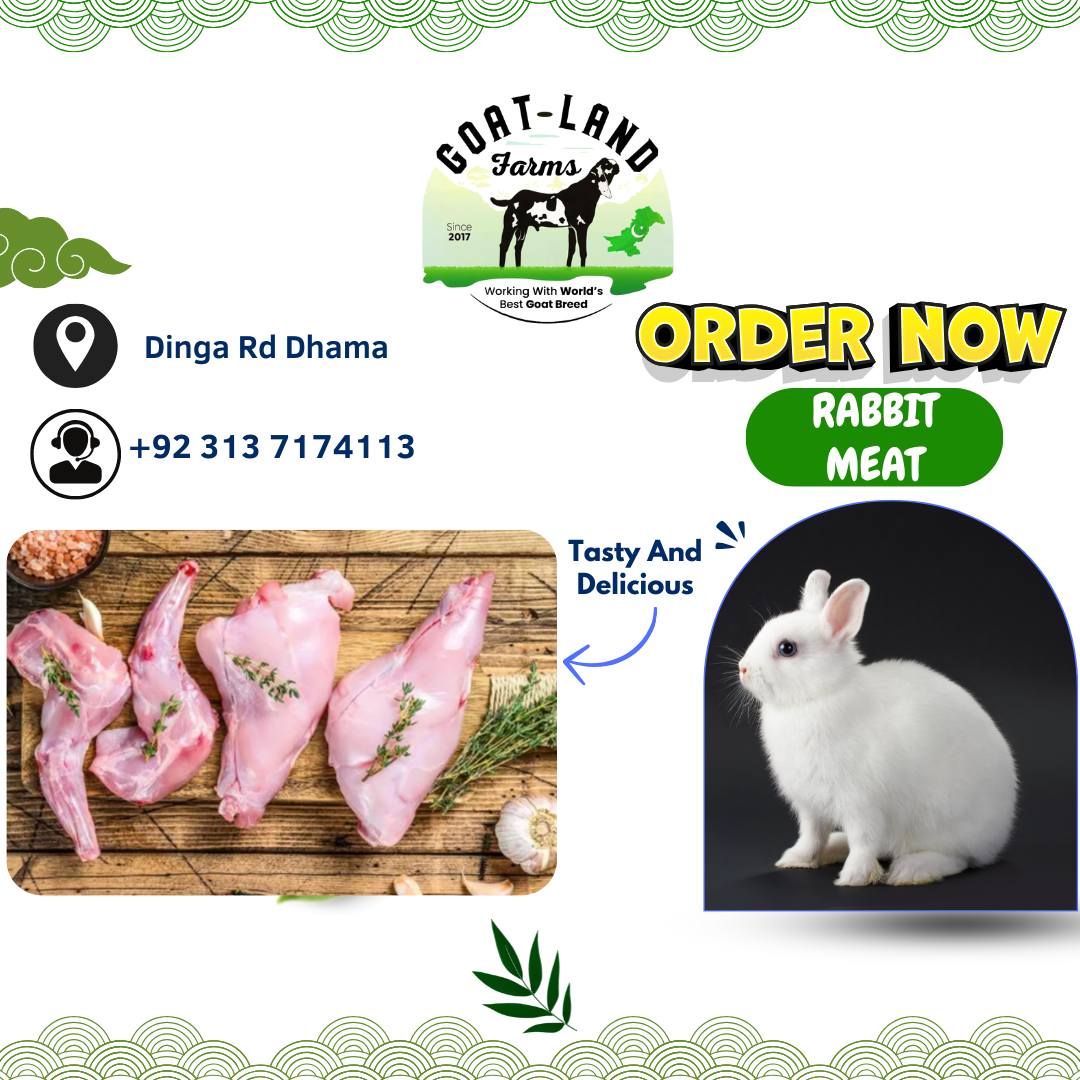 Rabbit Meat 1 KG – Goatlandfarms