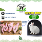 Rabbit Meat 1 KG