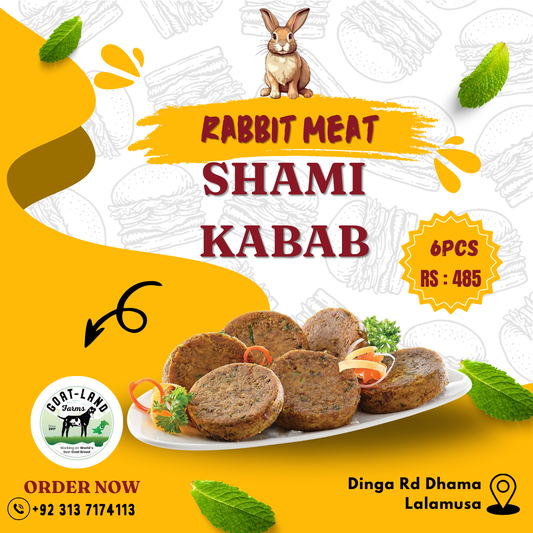 Rabbit Meat Shami Kebab 6 Pcs