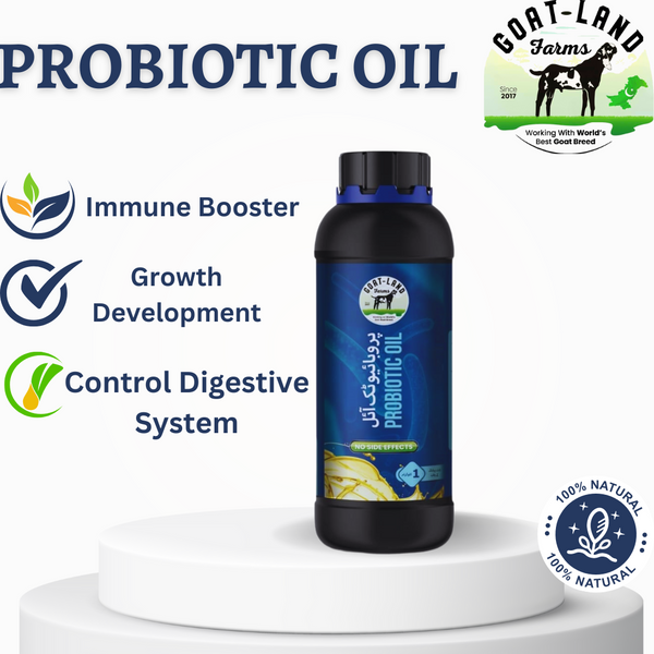 Probiotic Oil