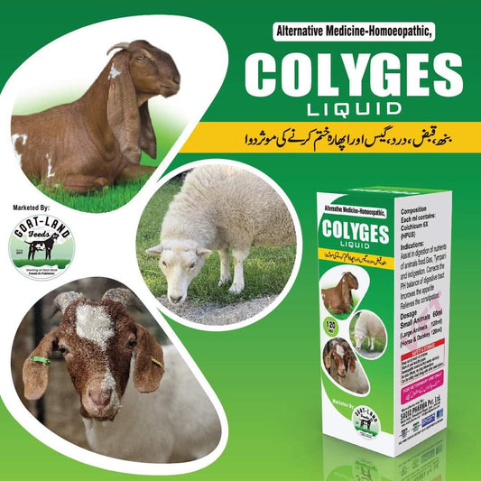 Colyges Liquid 120 ml