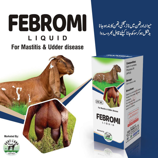 Febromi Liquid 250ml