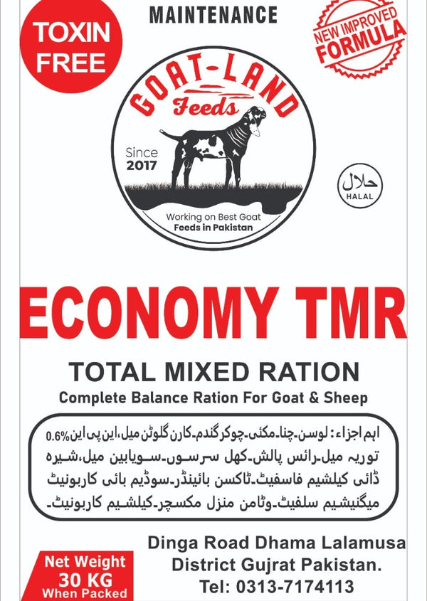 Economy TMR