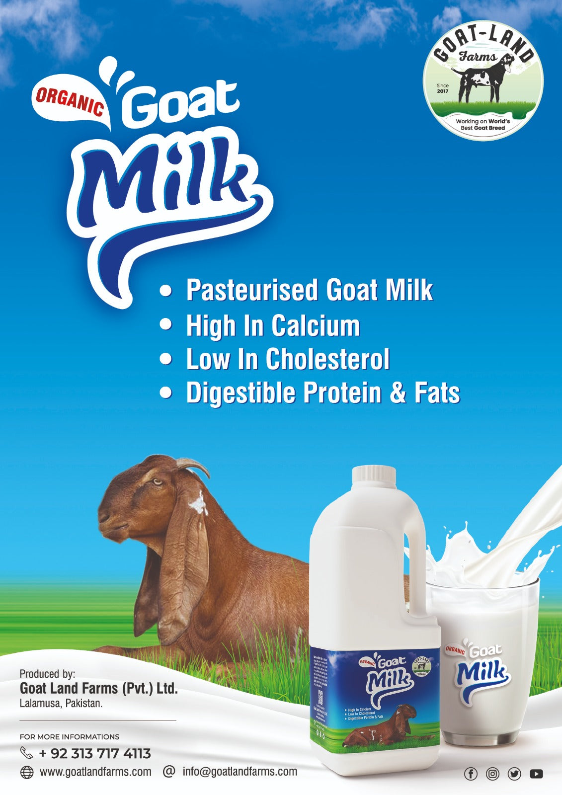 Goat Milk (LTR)