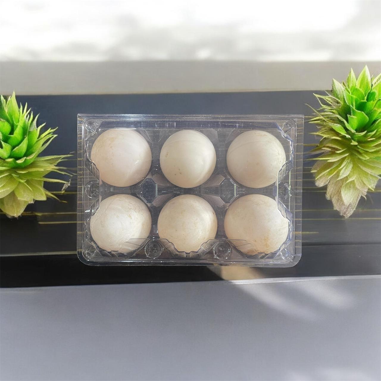 Duck Eggs 6 Pcs