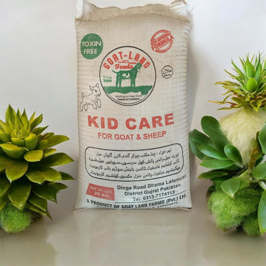 Kid Care(20KG)