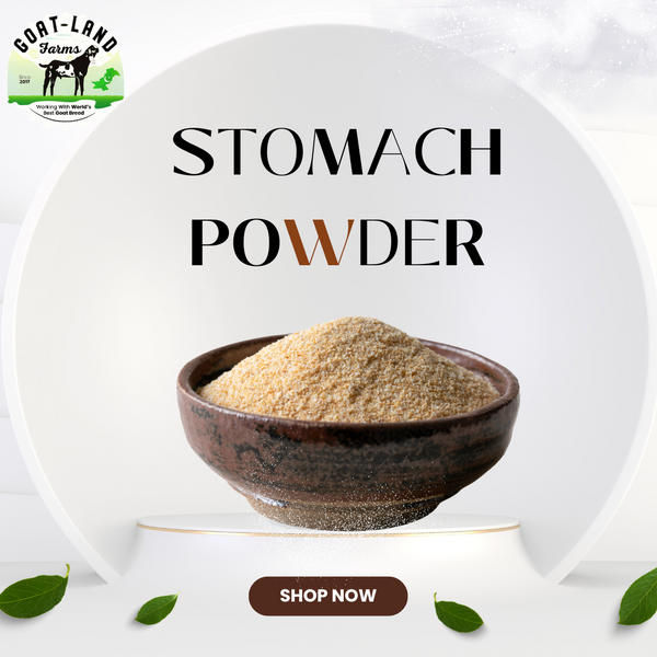 Stomach Powder (Per Kg)
